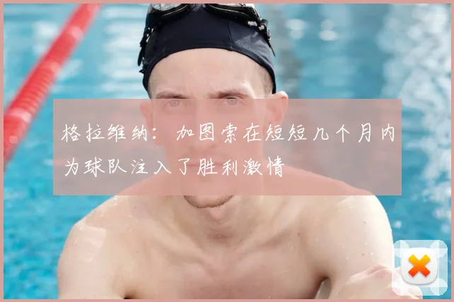 格拉维纳：加图索在短短几个月内为球队注入了胜利激情